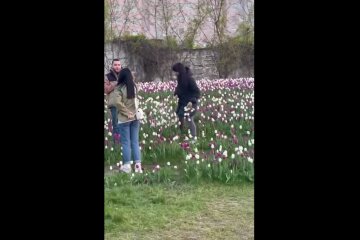 Потоптали газон и вырвали цветы: жителей возмутил беспредел на одной из улиц Днепра, видео