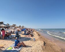 Украинские пляжи "позеленели" и усеяны зловонными созданиями: кадры