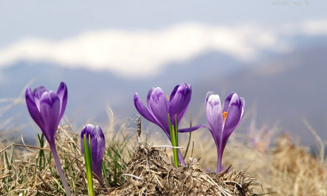 Погода в Украине 4 апреля