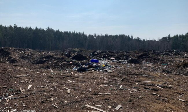 Сміттєві «багатоповерхівки» посеред лісу: на Житомирщині лісівників через суд змушують заплатити 1,6 мільйона за забруднення лісу