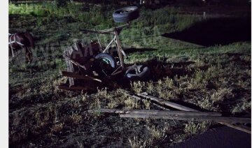 авто врезалось в телегу с лошадью в Одесской области