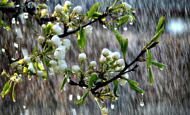 погода весна дождь