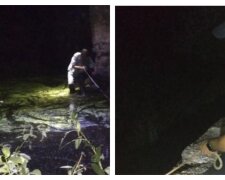 Просив допомоги під мостом: на Харківщині чоловік застряг у річці, фото