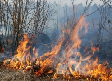 "Настає відповідальність": у Держекоінспекції нагадали про покарання та суми штрафу за спалювання сухої трави