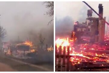 Ліси і житлові будинки знищені, пожежі в Україні не вщухають: нові кадри з епіцентру лиха