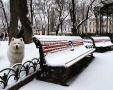 Погода в Одессе: жителей удивит прогноз на 16 января