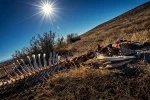 катастрофа, конец света