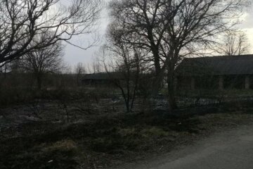 Пожежі під Києвом не вщухають, фото палія злили в мережу: "Вивіз тліюче сміття"