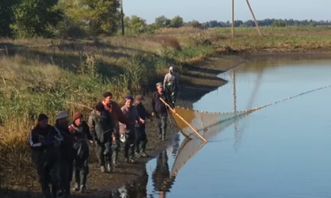Чудо-рыба попала в сети в одесском заливе: кадры необычного улова