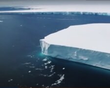От Антарктиды откололся огромный айсберг, фото: "В пять раз больше Киева"