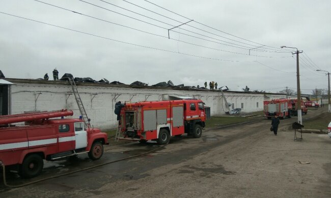 Масштабный пожар под Киевом охватил фабрику: кадры огненного ЧП