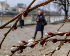 Весна позволит начать жизнь с чистого листа избранным знакам Зодиака: кому привалит счастья