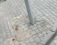 У Львові оригінально "полагодили" бруківку, фото: "Намалювали з бетону..."