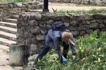 Жінка безцеремонно викопала квіти у парку Києва, з'явилося відео: "На салат"