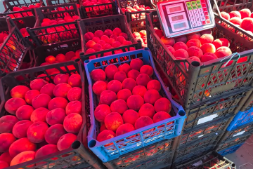 Дефицит продуктов в Сумской области