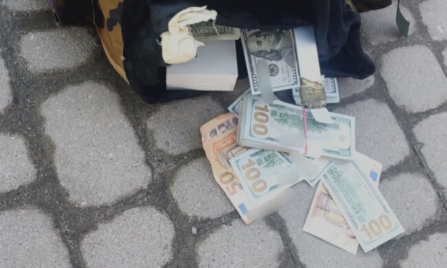 Знайшов 85 млн та ювелірку під кущами