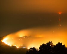 ЧП в Новой Зеландии: первые кадры масштабных пожаров (фото)