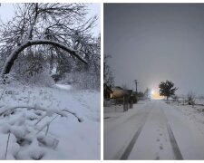 Справжня зима: у мережі показали яскраві кадри, як Одеську область замело снігом