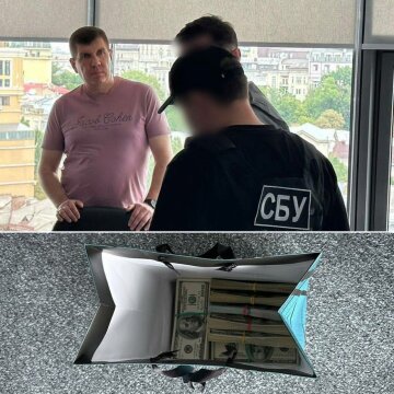 "Слуга народа" Анатолий Гунько, задержание СБУ