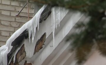 "Впервые за 141 год": в Киеве зафиксировали аномально теплую погоду для конца января