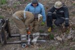 200-килограммовое животное упало в колодец на Харьковщине: кадры с места