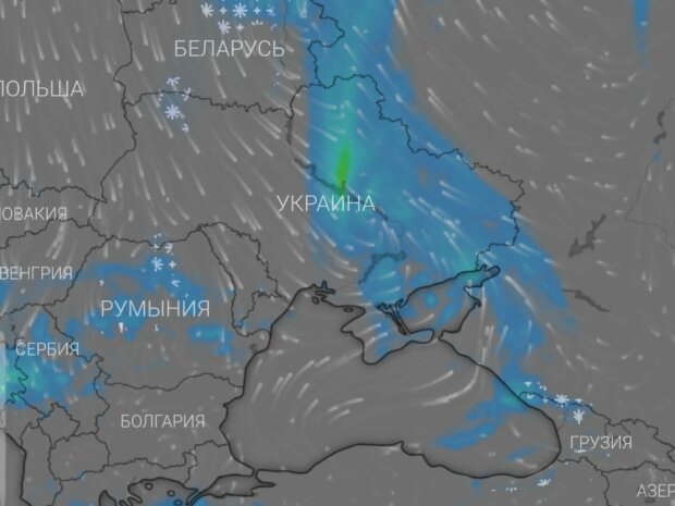 01TsEykMMyr6l1petEaNeYCYMZ2RQvjJ2ogkmvJx