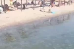 "Мамочки, что творится": море на украинском курорте превратилось в кисель из медуз, кадры