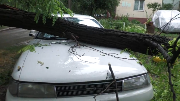 Прогноз погоды на неделю с 28 апреля по 4 мая в Запорожье.