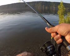 Величезну рибу виловили на річці Дунай в Одеській області: що з нею зробили, відео