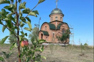 УПЦ просити допомоги у відновленні Спасо-Преображенського Межигірського монастиря
