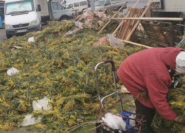 У Києві городяни обурюються через звалище квітів: "Фура полегшилася", кадри вражають