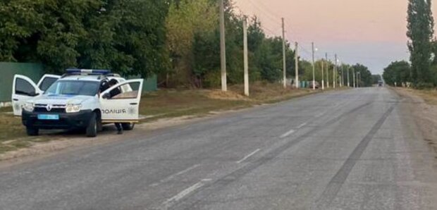 Корова придавила жінку вагою: незвичайна аварія сталася на Одещині, кадри с місця