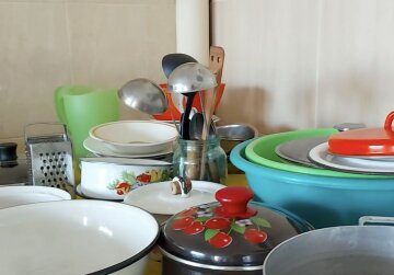 Бесплатное жилье для ВПЛ в Киевской области