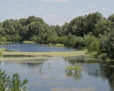 Депутат с палкой напал на детей у озера на Киевщине: детали инцидента
