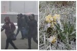 Синоптики срочно предупредили об ухудшении погоды, объявлен желтый уровень опасности: какие области заморозит