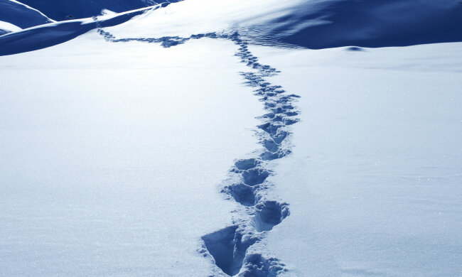 следы, снег, йети