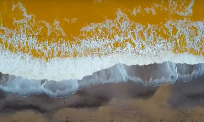 Черное море внезапно стало желтым: местные испугались "экологической катастрофы", видео