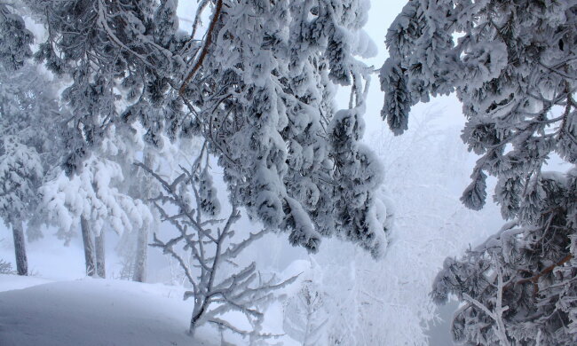 зима, снег, погода в Украине