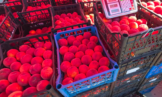 Дефицит продуктов в Сумской области