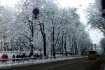 "Насколько можно быть жадным?": маршрутчик оставил 11-летнего украинца замерзать на остановке