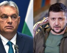 Зеленський подякував Орбану: "Домовилися розвивати співпрацю в..."