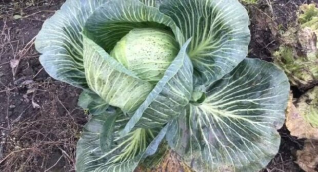  ��������� ������� ���������� ������ �������� ������ 