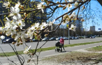 погода весна прогноз погоды апрель люди