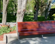 Прогноз погоди на тиждень в Харкові з 10 по 16 квітня