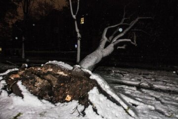 Сніговий колапс в Дніпрі: з’явилися фото і відео
