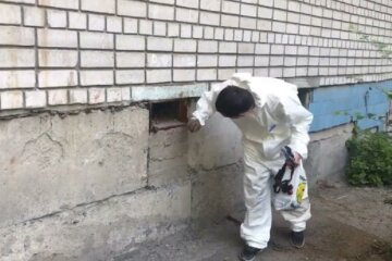 У будинках Дніпра розкидали небезпечну отруту, кадри: "Постійно ганяли і труїли..."