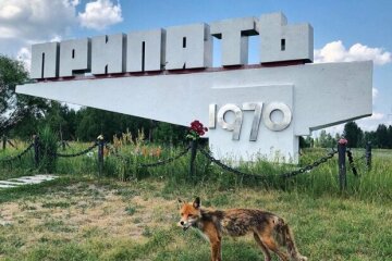 Екологічна катастрофа внесла корективи: як сьогодні виглядає місто-привид Чорнобиль, вражаючі кадри
