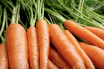 Подорожание моркови в Одессе