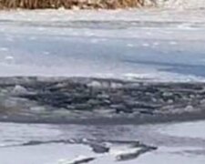 В Киеве под лед провалились парень с девушкой и собака, фото: "На озере все еще десятки гуляк"