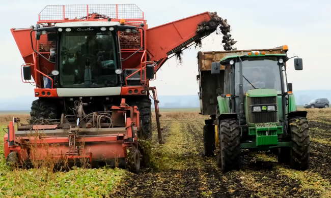 агросектор, агрономи